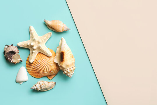 Summer holiday concept.Top view of sea shells and starfish with space for text