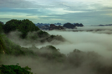 The view of the natural background of the mountain close-up, with blurred fog scattered in the rainy season or the humid climate, with beautiful green trees in the ecological system