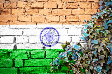 India grunge flag on brick wall with ivy plant