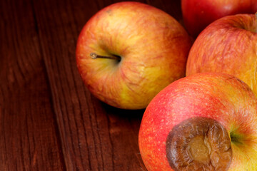 Spoiled shriveled rotten apples on a dark wooden background close-up