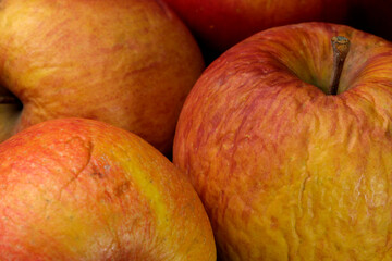 Spoiled shriveled rotten apples on a dark wooden background close-up