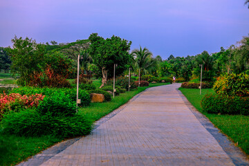 natural background of many species of plants that are laid out in the park, for the propagation of the species and to provide shade for those who stop by while traveling to study the ecology.