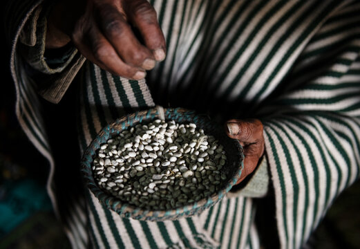 Mans hands holding dried white beans