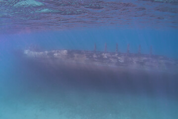 wreck