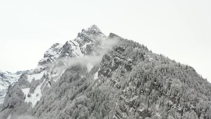Aerial shot of rugged and snowy mountains with forests. In the alps.