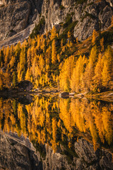 Fall sunrise on Lake Federa in the Italian Dolomites. Yellow larches create a unique atmosphere of this place.