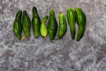 Fresh not perfect cucumbers. Ugly vegetables  on dark concrete background with copy space
