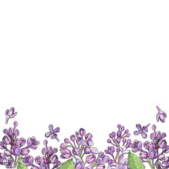 Obraz na płótnie Canvas White square background with lilac branches. Handmade naturalistic drawing.