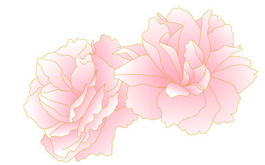 春の花・植物、ピンクグラデーションの八重桜（牡丹桜）の塊