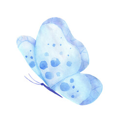 Watercolor flying butterfly isolated on white. Blue hand painted illustration