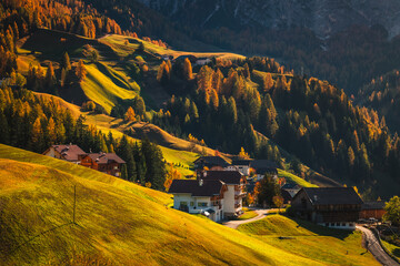 Fototapety na wymiar - Fototapeta24.pl