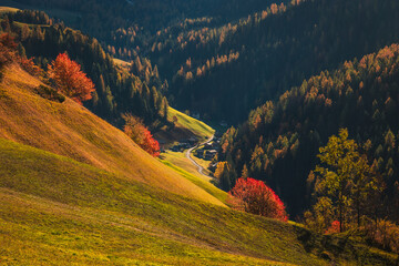 Fototapety na wymiar - Fototapeta24.pl