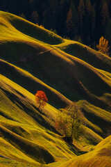 Autumn in the Italian Dolomites. The most beautiful time of the year to visit this place. Beautiful colors and breathtaking views. Mountain peaks above the valleys.