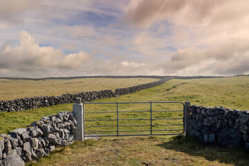 Metal gate into green grass field and stone fences. Beautiful cloudy sky in the background. Nobody. Aran island, county Galway, Ireland. Irish nature landscape.