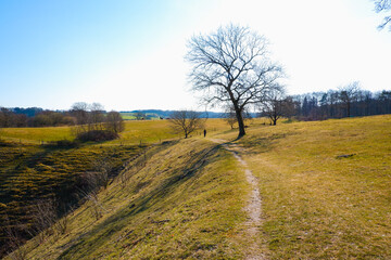 Fototapeta na wymiar Landscape. A girl walks through a hilly area on a clear spring day. Spring, big tree, horses on the horizon.