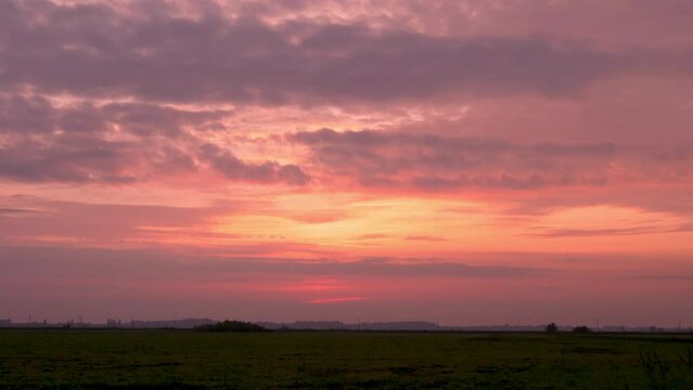 Timelapse Lilac Pink Dawn Sky Cirrus Clouds Sun Rising from Horizon in a Field. Lilac Colorful Summer Skycraper at Sunrise with Light Clouds, Lilac Cloud Yellow Pink Sky and Rising Sun.