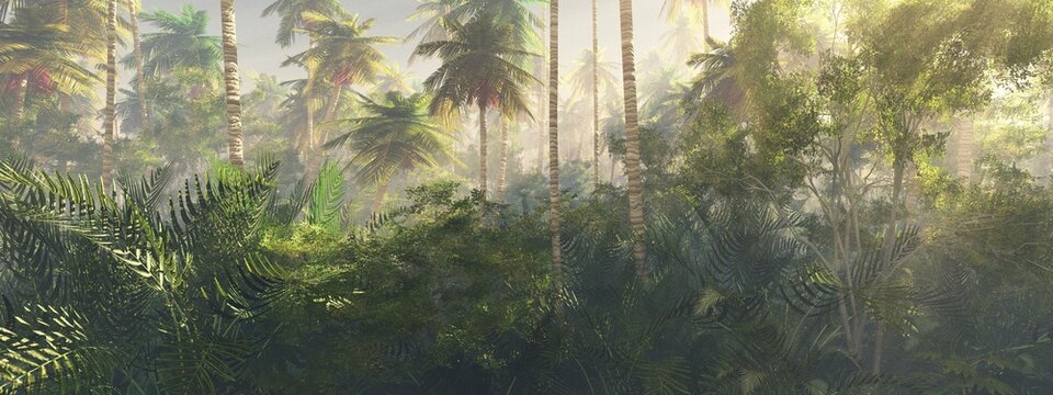 Jungle, rainforest during the plank, palm trees in the morning in the fog, jungle in the haze, 3D rendering © ustas
