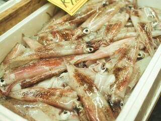 日本の朝市で出会った新鮮な魚介類