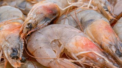 Raw Shrimp prawns closeup on white background. Selective focus