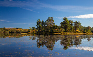 Sunny day by the lake in the forest of Bymarka.