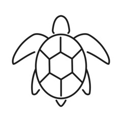 Obraz premium Turtle line art. Isolated vector icon.