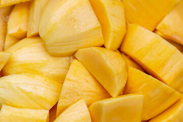 Ripe Alphonso Mangos - King of fruits
