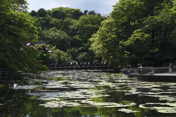 Park with pond and forest