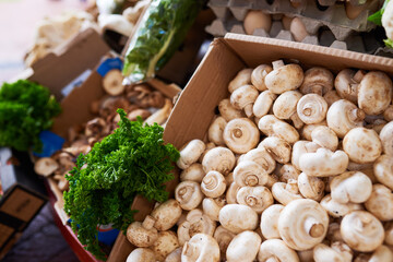 A box of fresh button mushrooms at a farmers market with parsley