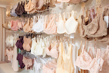 Many different beautiful women's underwear in lingerie store