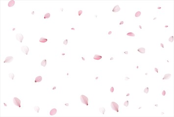 Sakura petals. Cherry petals backdrop - obrazy, fototapety, plakaty