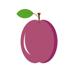Vector illustration of ripe purple plum on stem with green leaf. Autumn fruits healthy food digestive fiber concept