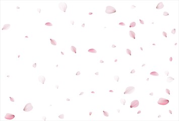 Sakura petals. Cherry petals backdrop