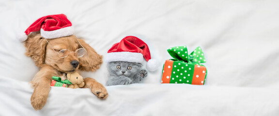 Funny English Cocker spaniel puppy wearing eyeglasses sleeps with tiny kitten and gift box under white warm blanket ona  bed at home. Cute pets wearing santa hats. Top down view. Empty space for text
