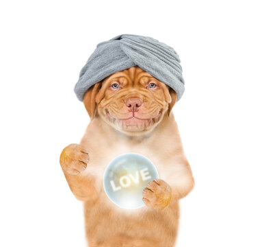 Smiling puppy fortune teller predicts the fate of love with magic ball. isolated on white background