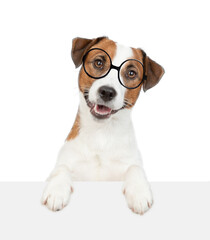 Smart Jack russell terrier puppy wearing eyeglasses looks above empty white banner. isolated on white background