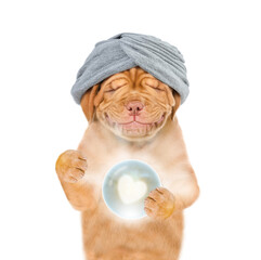 Smiling puppy fortune teller predicts the fate of love with magic ball. isolated on white background