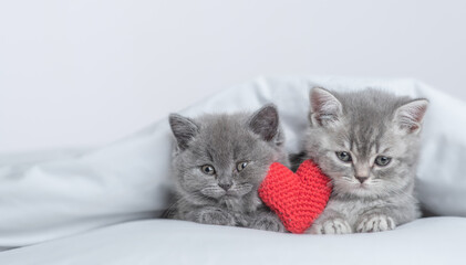 Two cute kittens lying on a bed at home with red heart. Empty space for text