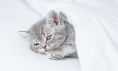 Cozy kitten sleeps  under white warm blanket on a bed at home