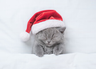 Cozy kitten wearing red santa's hat sleeps under a white blanket on a bed. Top down view