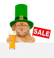 St. Patricks Day. Funny puppy wearing hat of the leprechaun looks above empty white banner, holds...