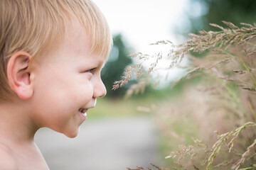 Chłopiec ogląda z bliska źdźbło trawy na łące, Uśmiecha się i podziwia