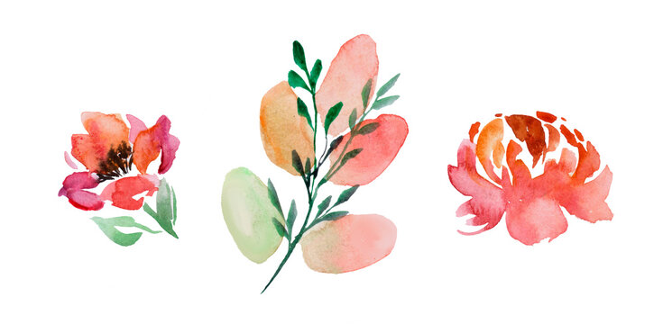 Floral set. Collection with isolated flowers, drawing watercolor. Design for invitation, wedding or greeting cards