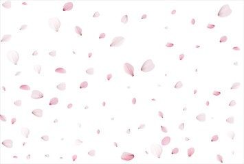 Sakura petals background. Cherry petals