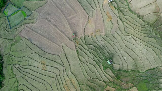 Wat Ban Wen rice fields in Nan province, Thailand