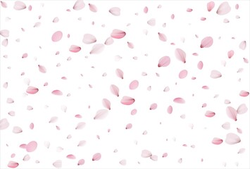 Sakura petals background. Cherry petals