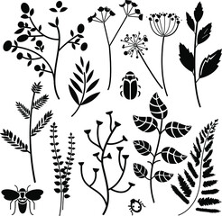 Fototapeta premium stylish vector set of silhouettes of field plants and insects for embroidery, advertising, packaging, stickers, creativity