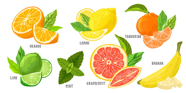 Set of citrus fruits piles, lemon lime grapefruit