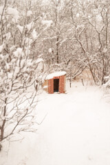 Dog House in the Snow in Lofoten norway