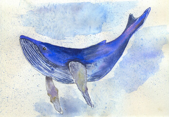 Blue watercolor whale on background