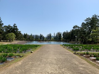 平泉の毛越寺